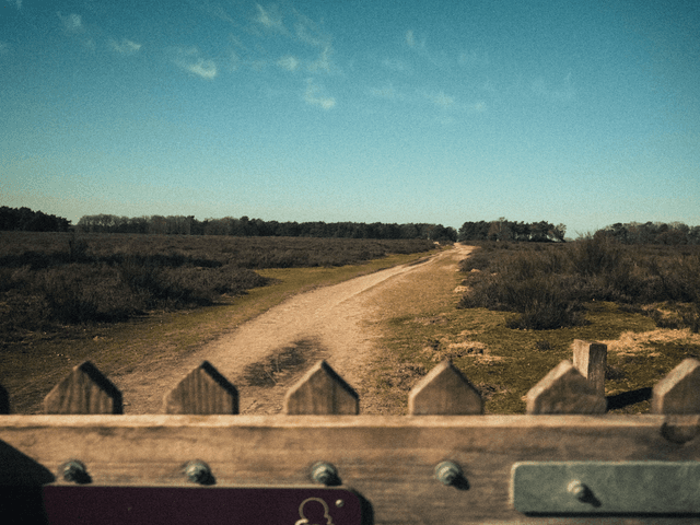 Outdoors image 10